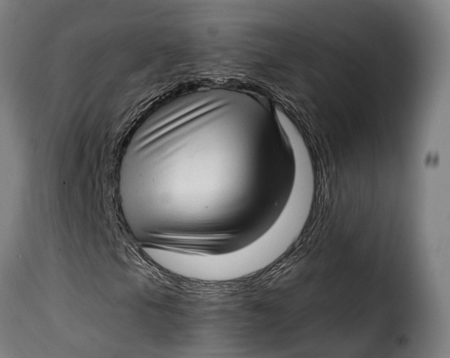 X0000115271105200911201722