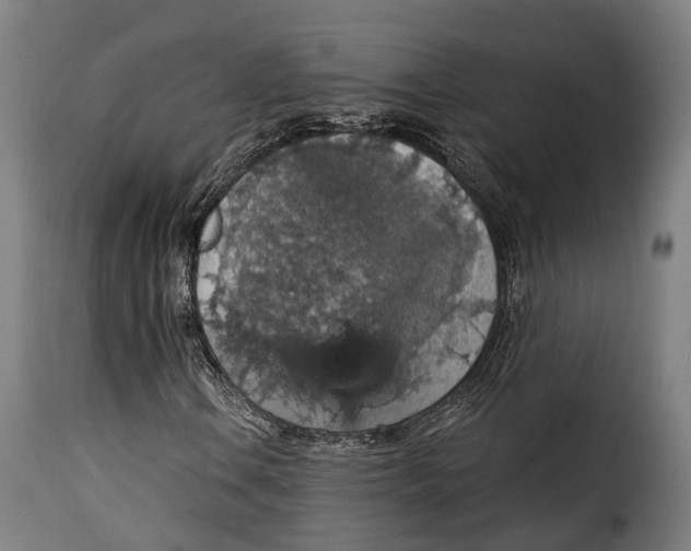 X0000115271106200911201722