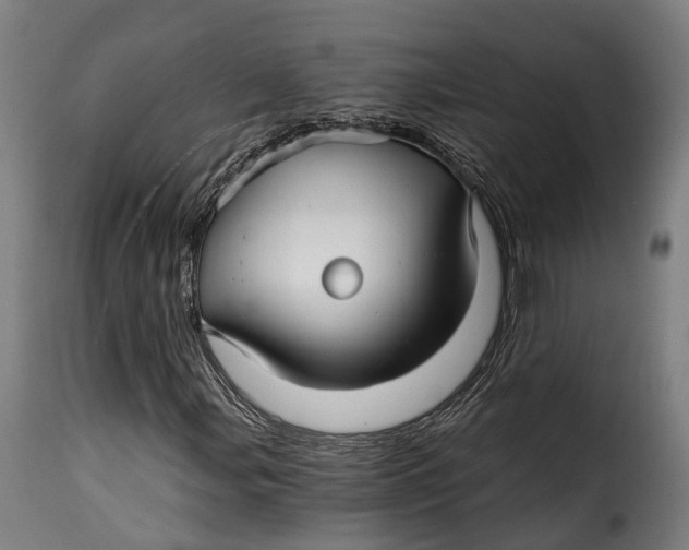 X0000115271107200911201722