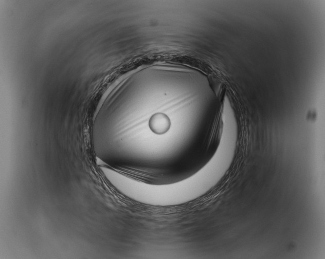 X0000115271109200911201722