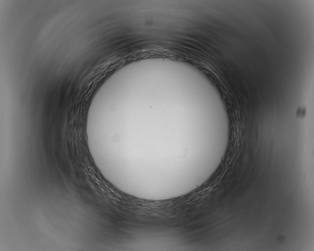 X0000115271111200911201722