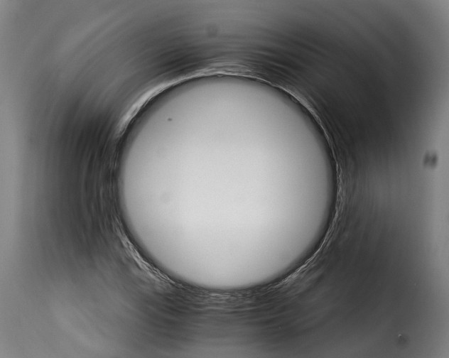 X0000115271115200911201722