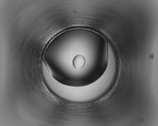 X0000115271121200911201722