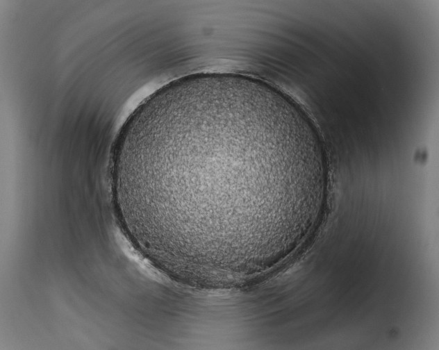 X0000115271122200911201722