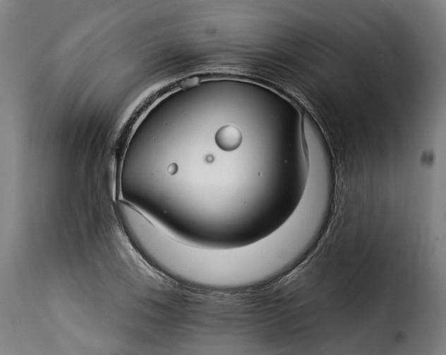 X0000115271123200911201722