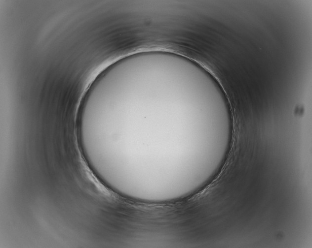 X0000115271127200911201722