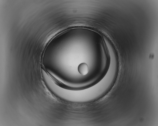 X0000115271129200911201722