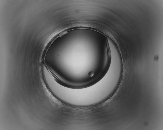 X0000115271133200911201723
