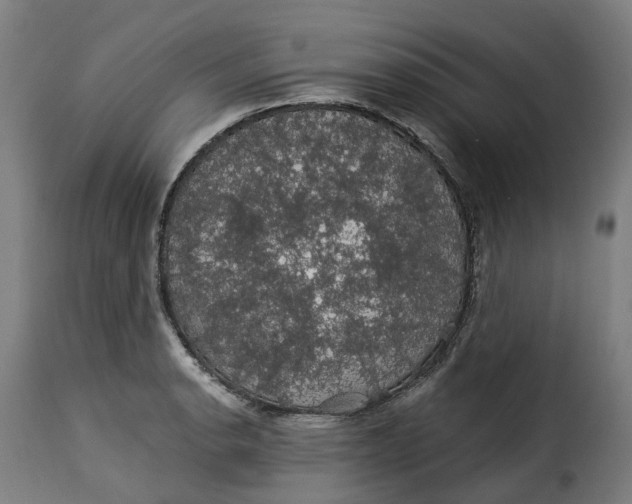 X0000115271134200911201723