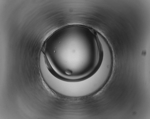 X0000115271137200911201723