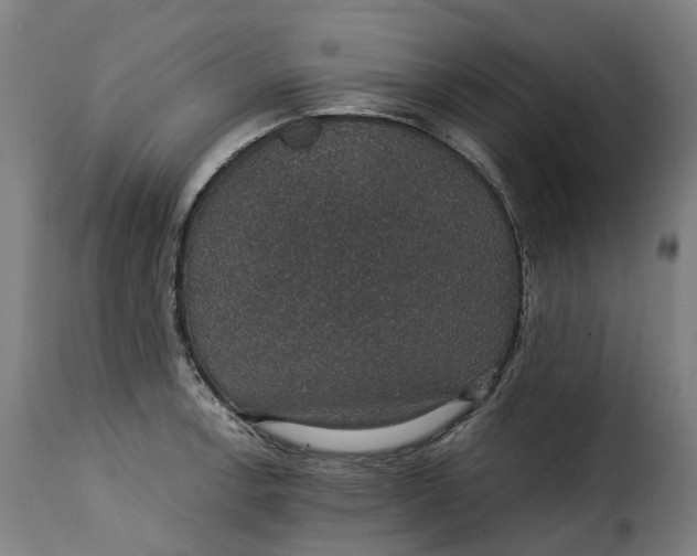 X0000115271138200911201723