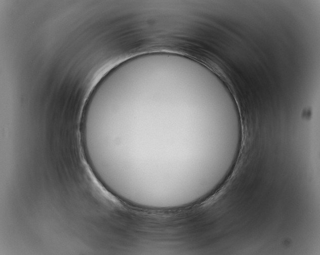 X0000115271141200911201723
