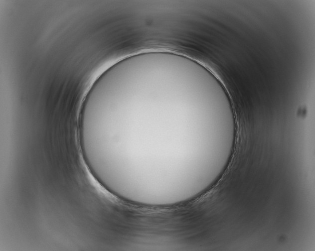 X0000115271143200911201723