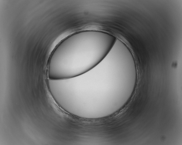 X0000115271146200911201723