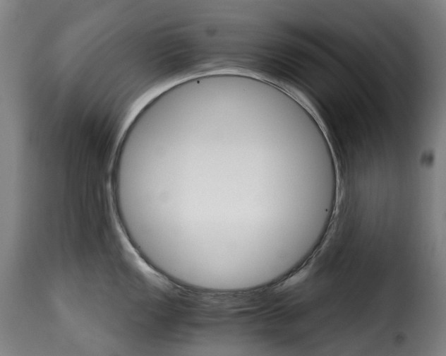 X0000115271149200911201723