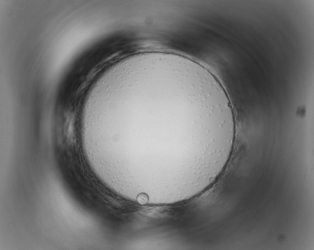 X0000115271150200911201723
