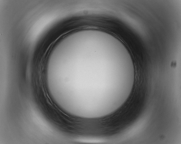 X0000115271151200911201723