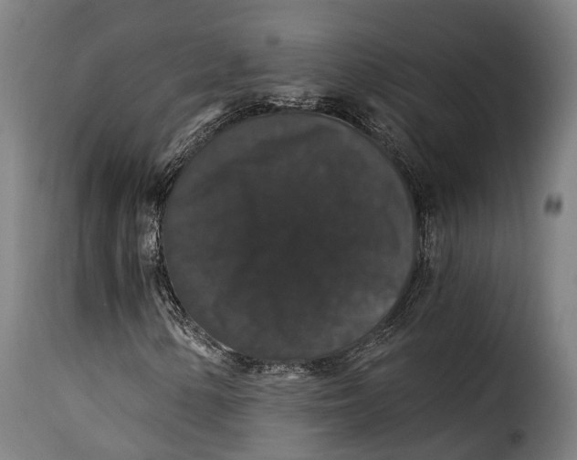 X0000115271154200911201722