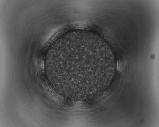 X0000115271155200911201722