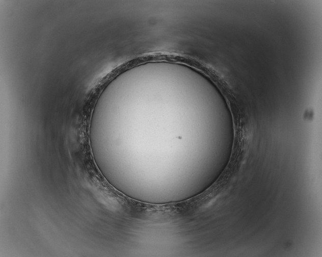 X0000115271159200911201722