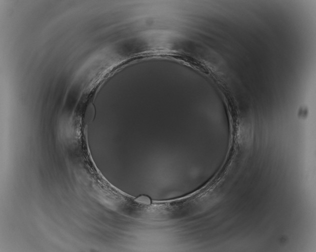X0000115271161200911201722