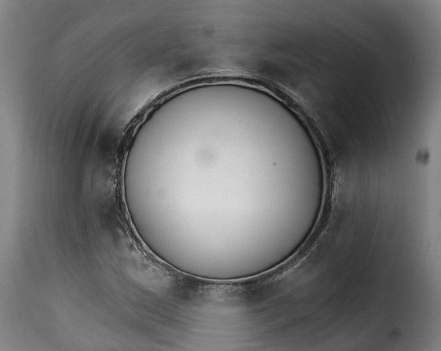 X0000115271163200911201722