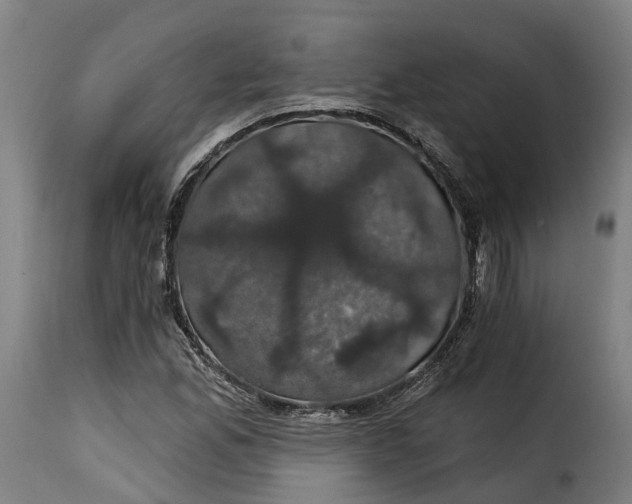 X0000115271165200911201722