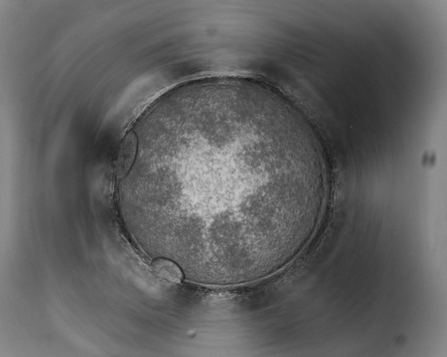 X0000115271169200911201722