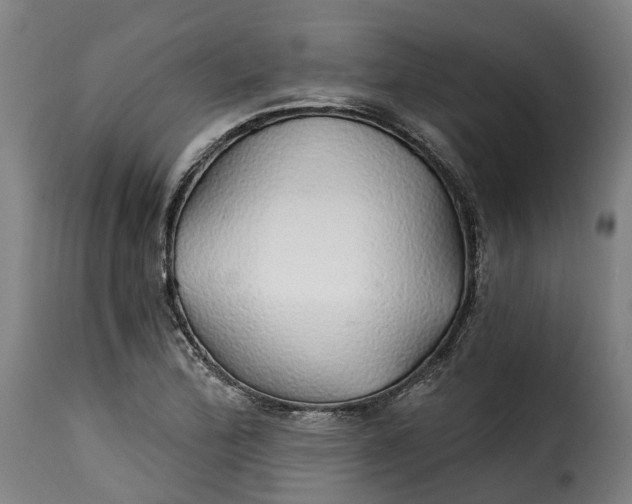 X0000115271172200911201722