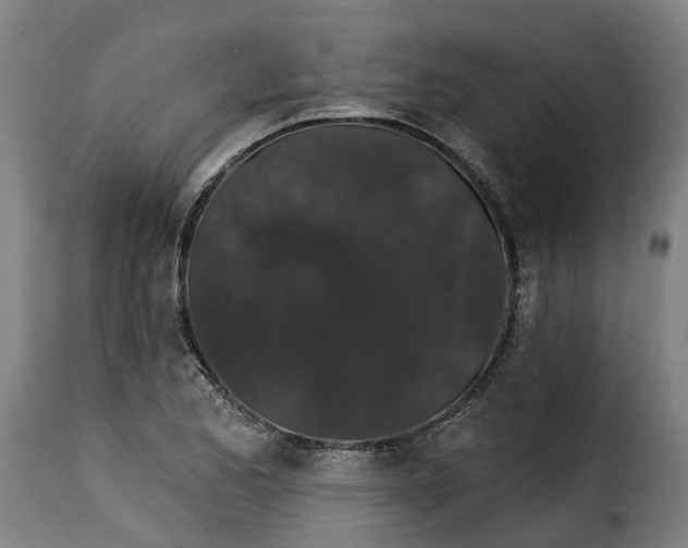 X0000115271173200911201722