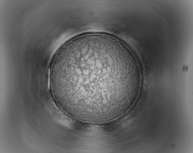 X0000115271175200911201722