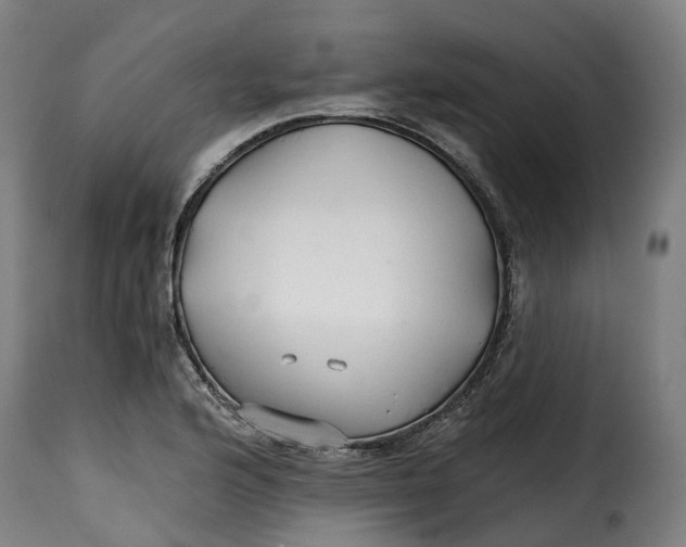 X0000115271176200911201722