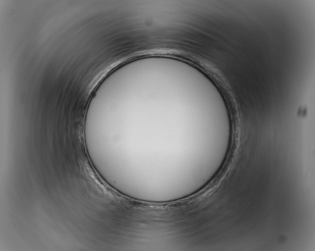X0000115271177200911201722