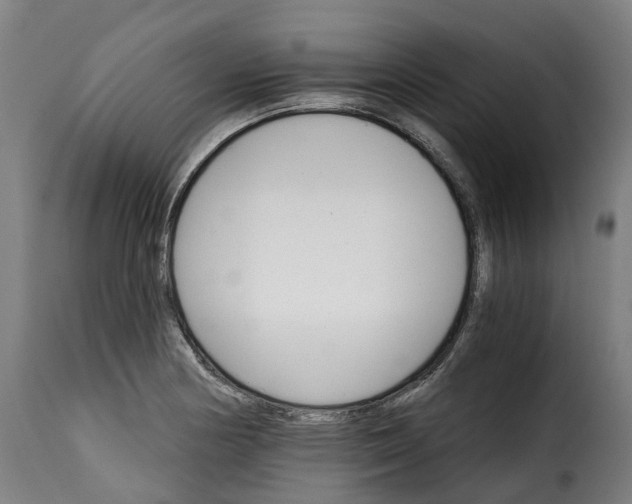 X0000115271178200911201722