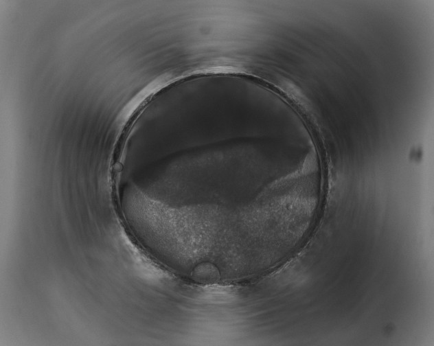 X0000115271181200911201722