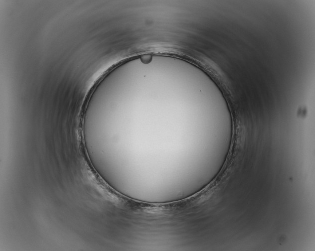 X0000115271182200911201722