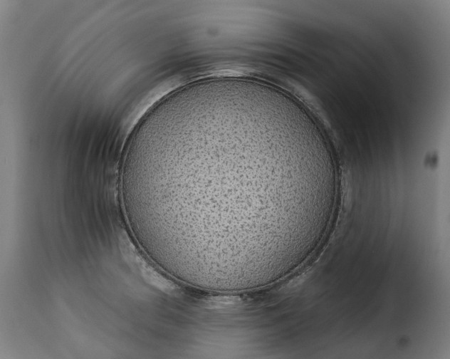 X0000115271186200911201722