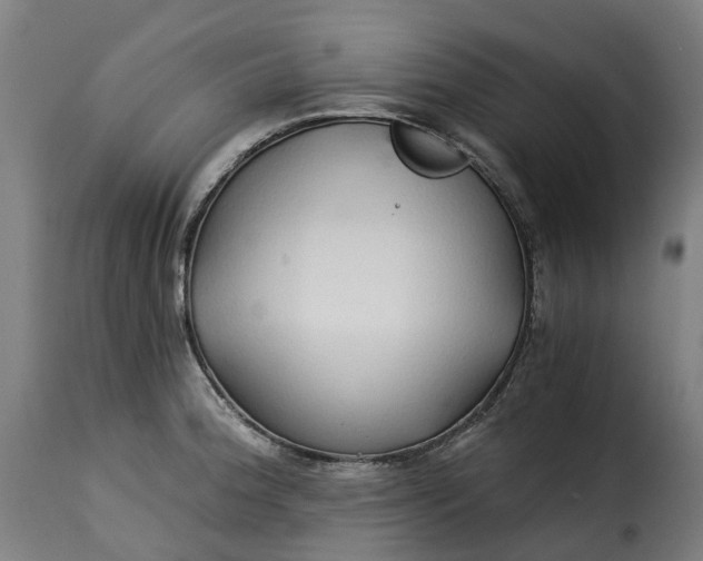 X0000115271188200911201721