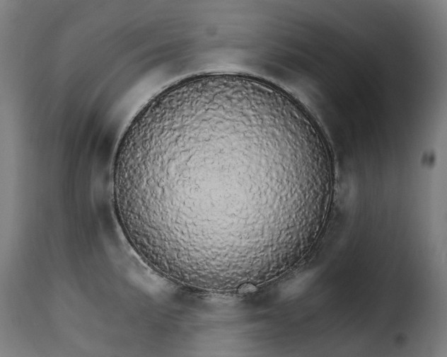 X0000115271191200911201721