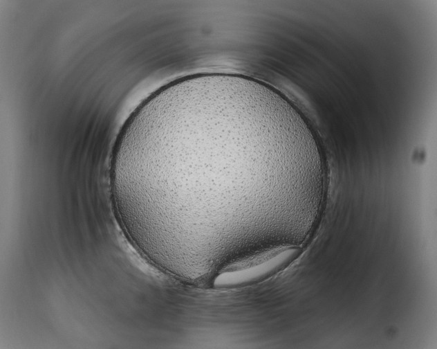 X0000115271192200911201721