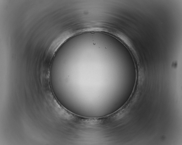 X0000115271193200911201721