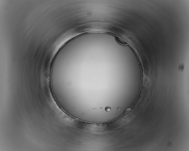 X0000115271195200911201721