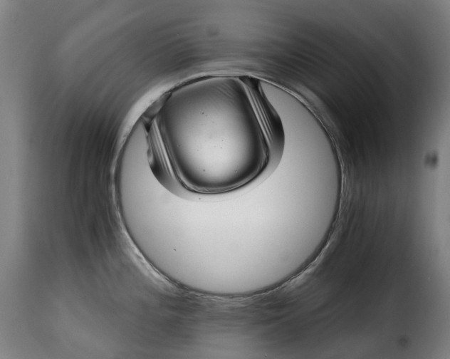X0000115271196200911201721