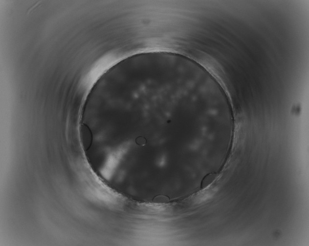 X0000115271197200911201721