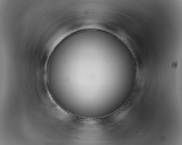 X0000115271199200911201721