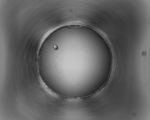 X0000115271200200911201721