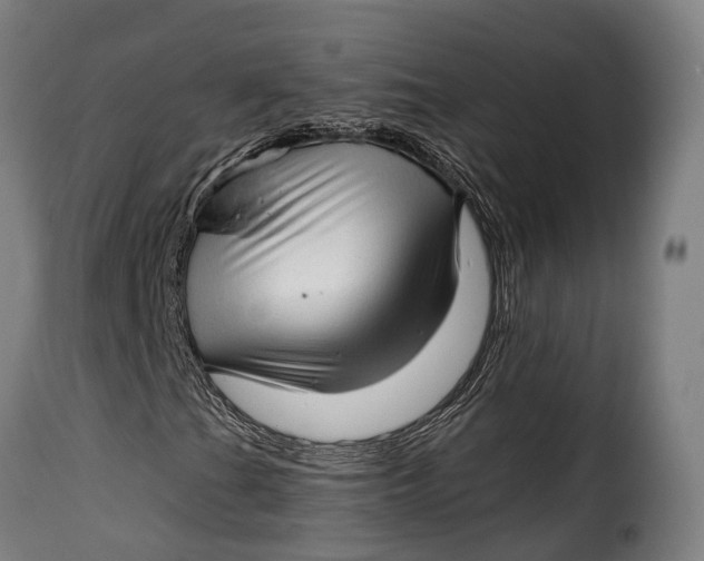 X0000115271201200911201721
