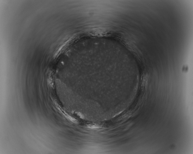 X0000115271202200911201721