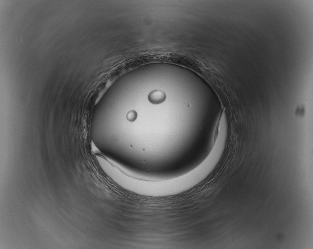 X0000115271203200911201721