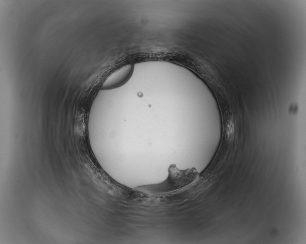 X0000115271204200911201721